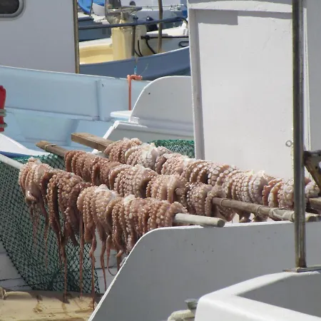 Traditional Apartament Nausa