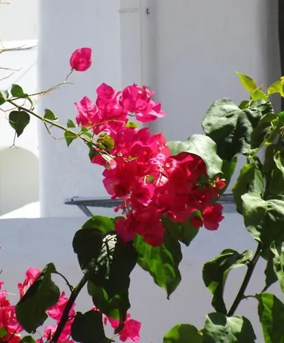 Traditional Apartamento Naousa